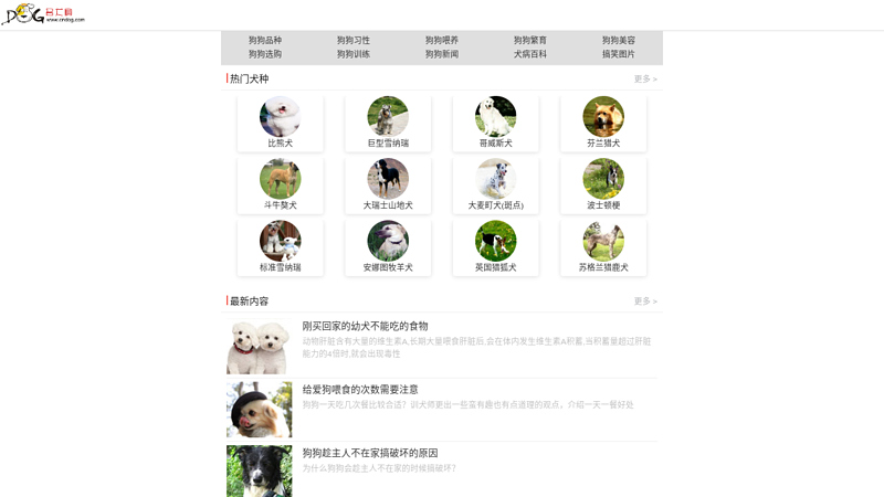 宠物狗-中国名犬网-世界名犬,狗,名犬,藏獒天地,哈士奇,松狮,金毛,德国牧羊犬,雪纳瑞,大麦町犬,博美犬 缩略图